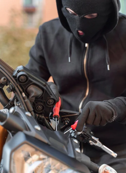 image of Felonies & Misdemeanors